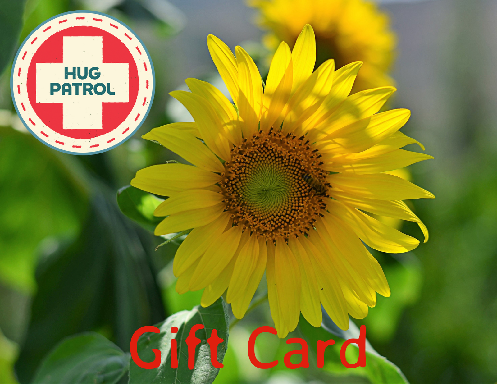 Gift Card Hug Patrol